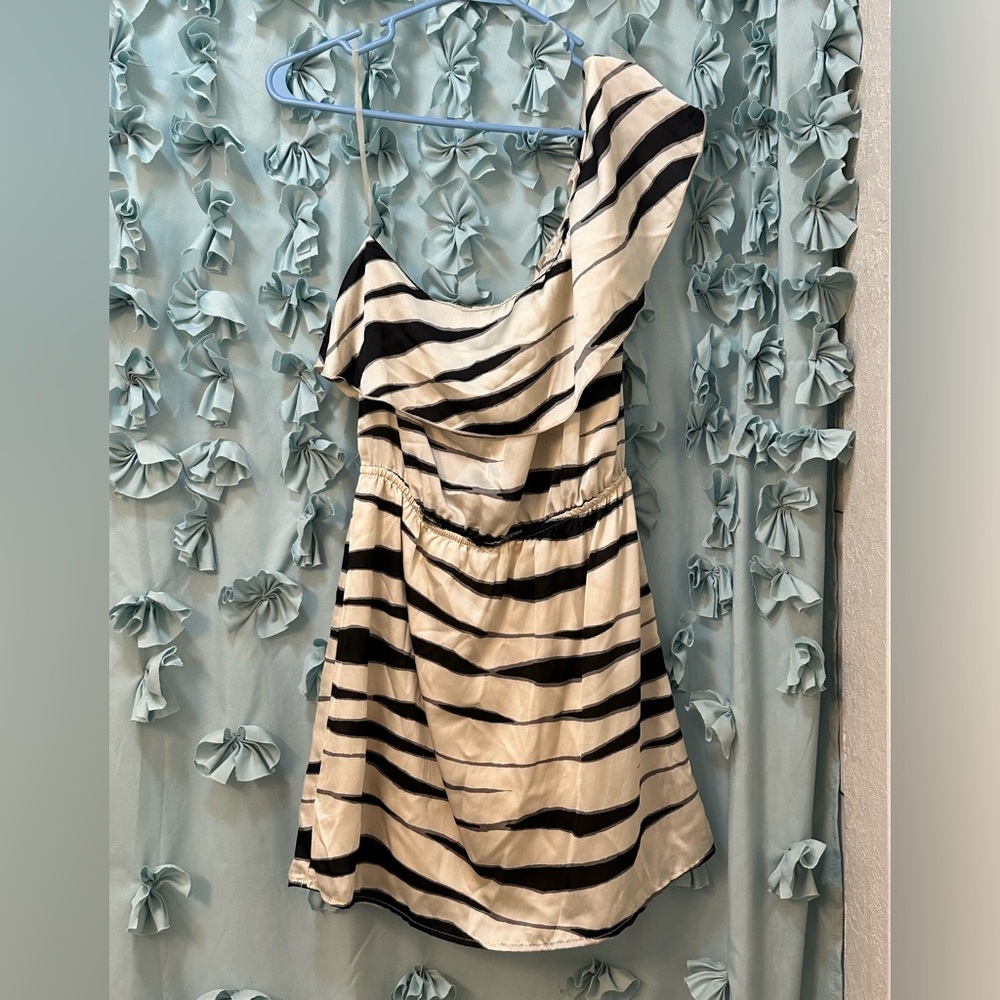 Zebra print, one shoulder, mini dress